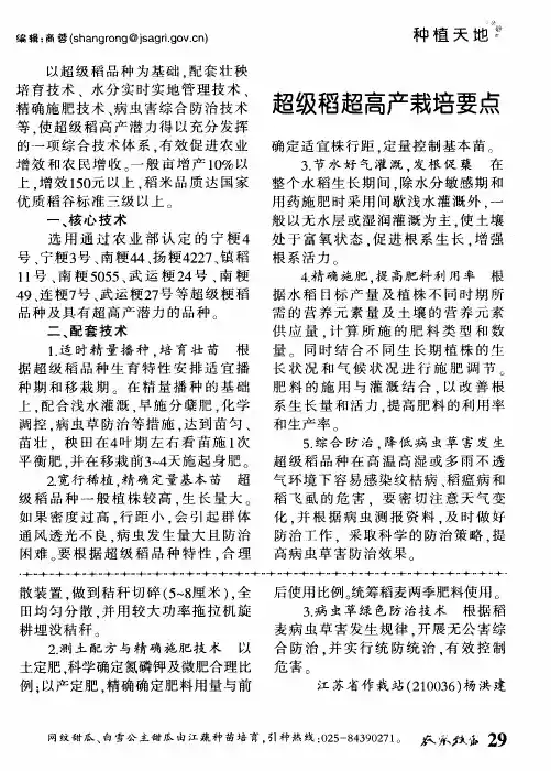 超级稻超高产栽培要点