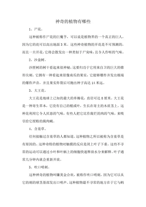 神奇的植物有哪些