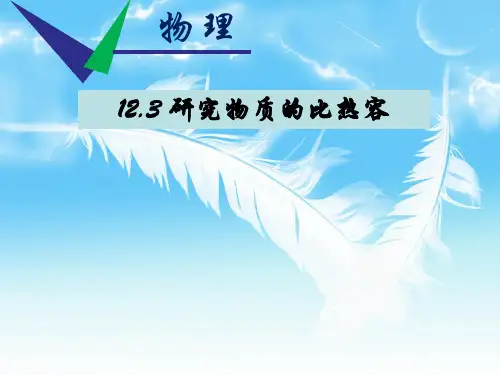 沪粤物理九年级上册第12章3 研究物质的比热容(共22张PPT)