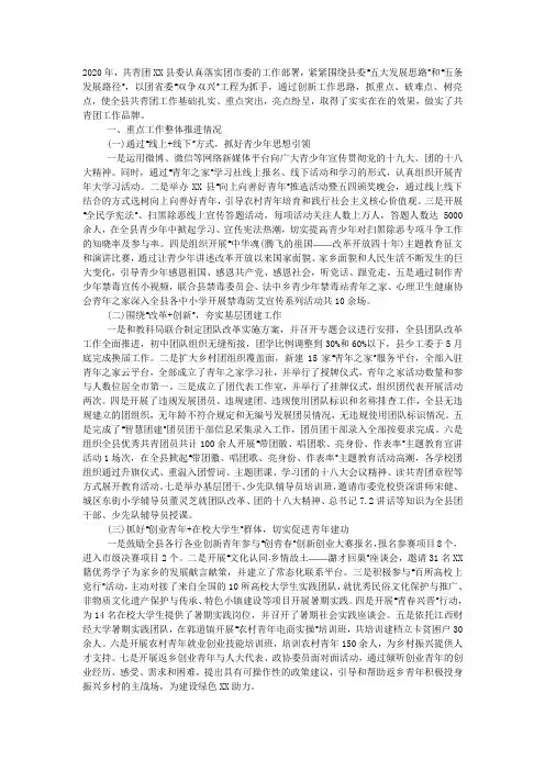 b共青团2020年工作总结暨2020年工作计划b.docx