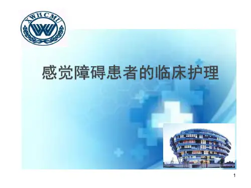 感觉障碍PPT参考课件
