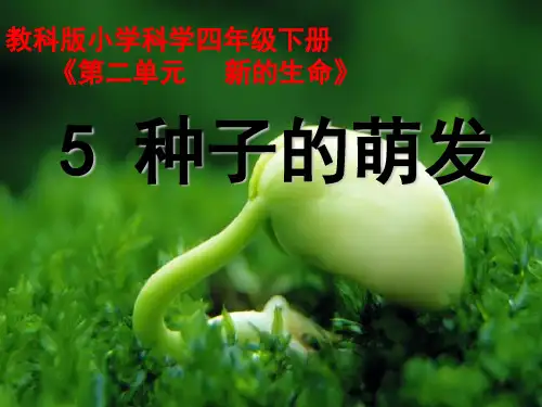 《种子的萌发》实用课件教科版小学1