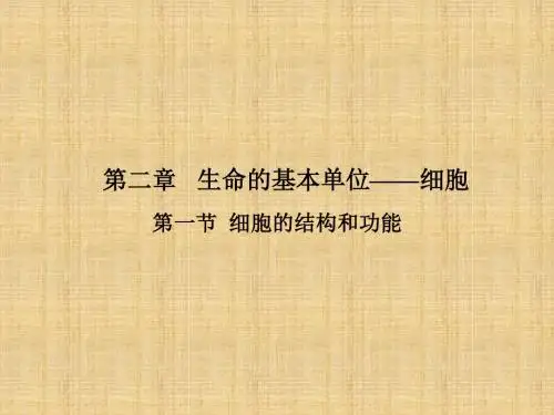 细胞的结构和功能PPT课件