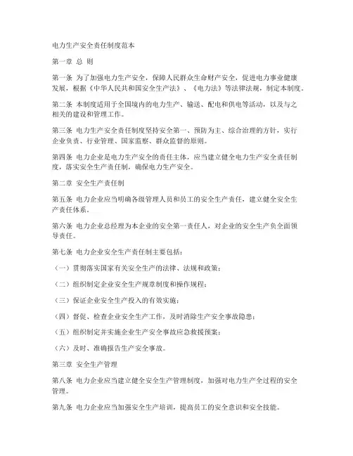 电力生产安全责任制度范本