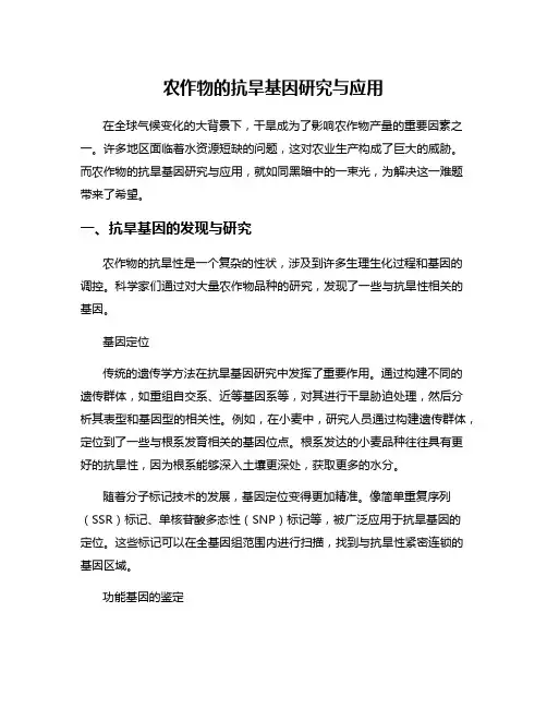农作物的抗旱基因研究与应用