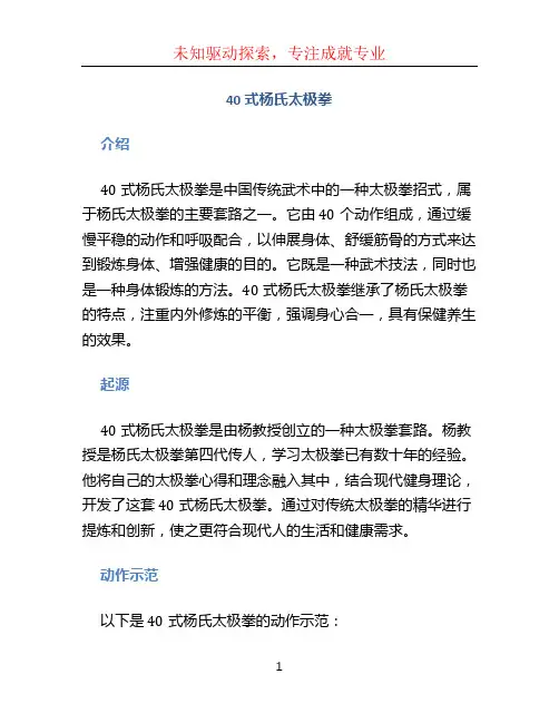 40式杨氏太极拳