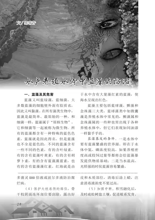 水产养殖水体中蓝藻的防治