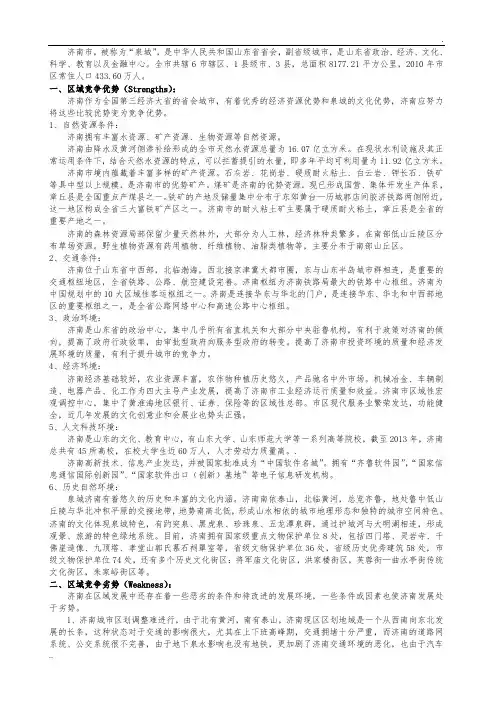 济南swot分析