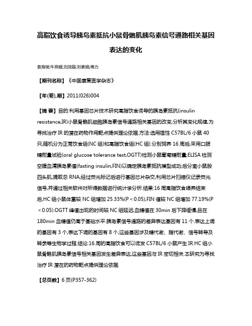 高脂饮食诱导胰岛素抵抗小鼠骨骼肌胰岛素信号通路相关基因表达的变化