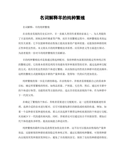 名词解释羊的纯种繁殖
