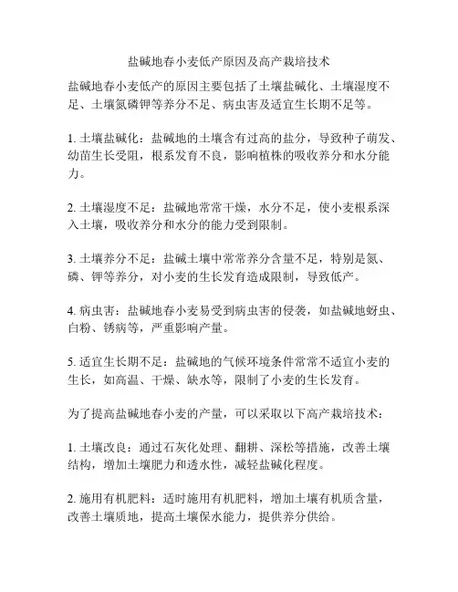 盐碱地春小麦低产原因及高产栽培技术