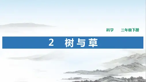 冀人版三年级科学下册  《树与草》PPT