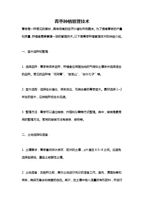 青枣种植管理技术