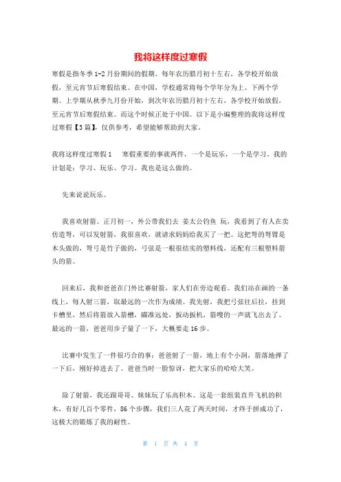 我将这样度过寒假