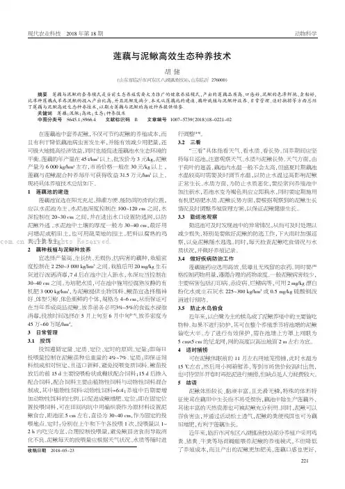 莲藕与泥鳅高效生态种养技术