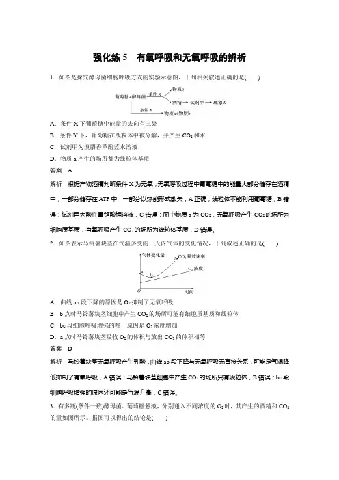高考生物复习 第3单元 强化练5 有氧呼吸和无氧呼吸的辨析