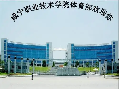 体育部团总支学生会 PPT课件