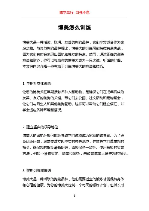 博美怎么训练