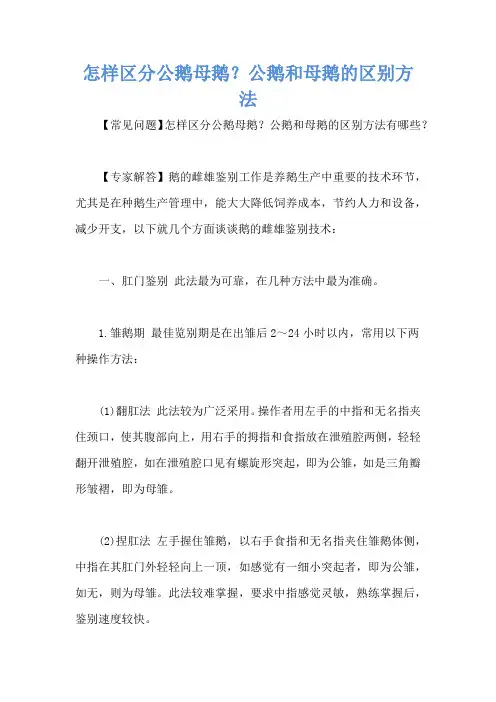 怎样区分公鹅母鹅？公鹅和母鹅的区别方法