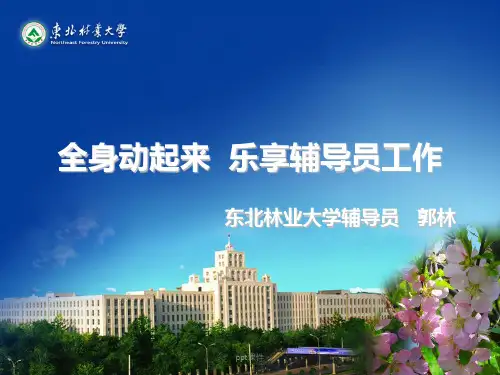 辅导员工作交流  ppt课件