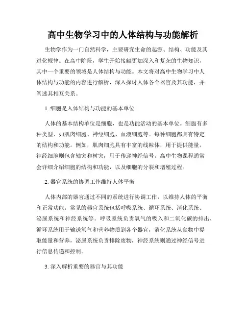 高中生物学习中的人体结构与功能解析