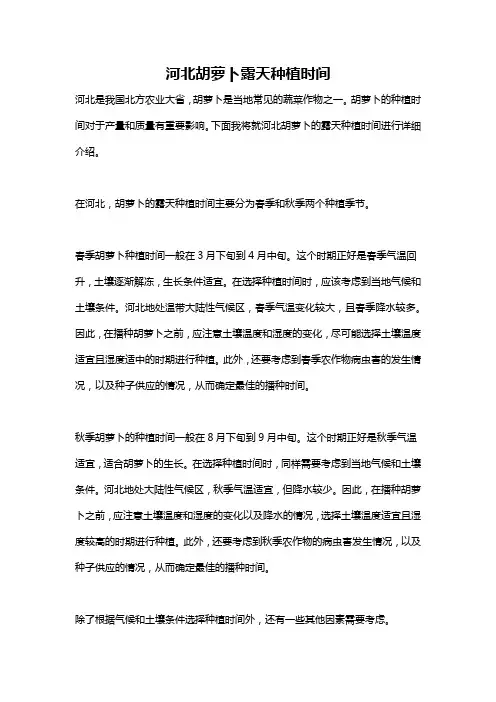 河北胡萝卜露天种植时间