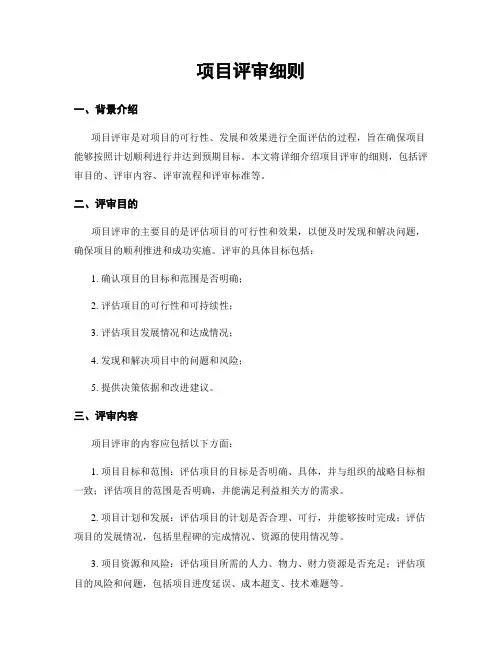 项目评审细则