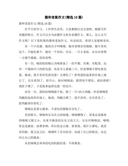 猫和老鼠作文(精选10篇)