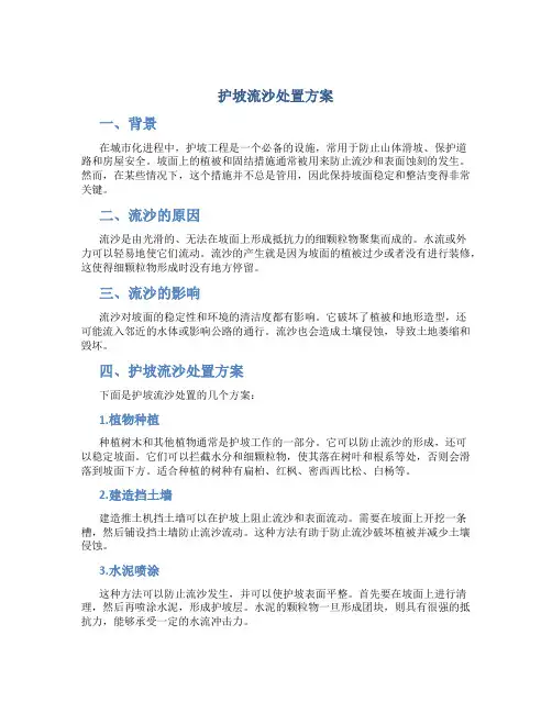 护坡流沙处置方案
