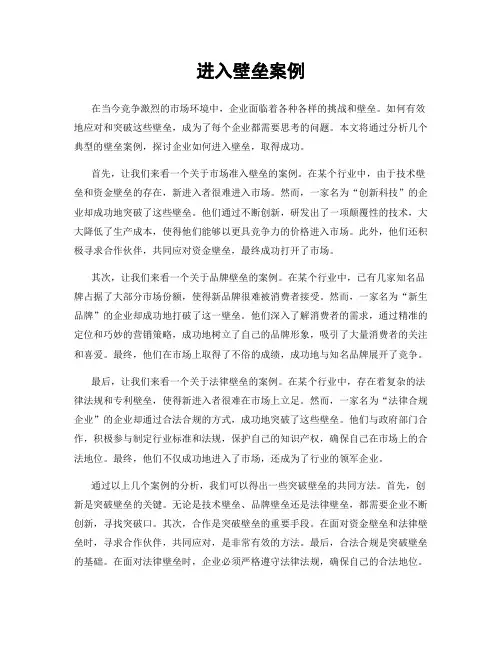 进入壁垒案例
