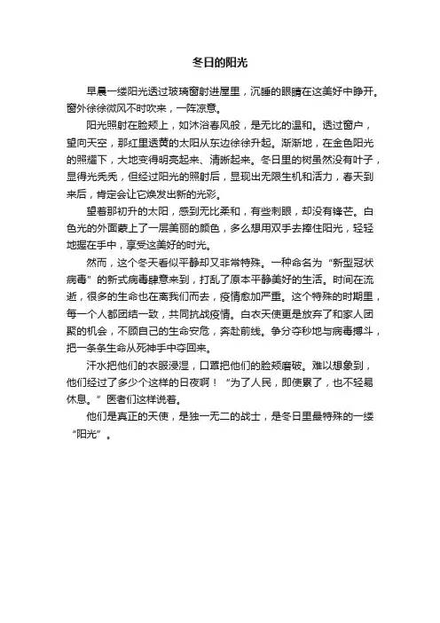 冬日的阳光