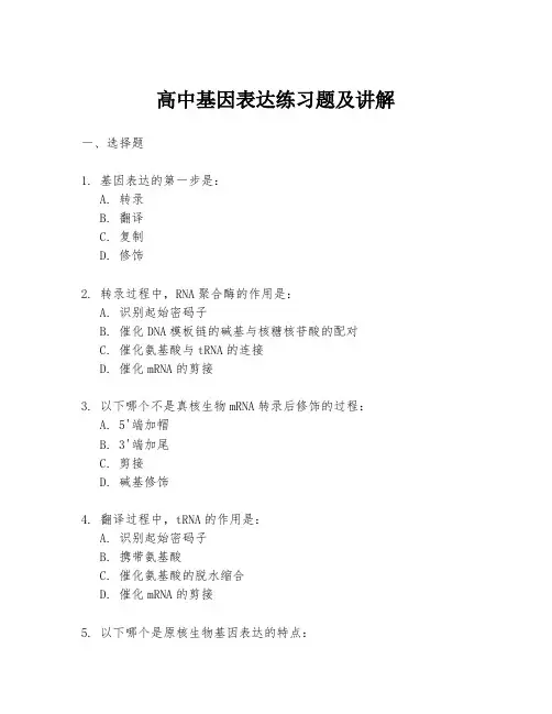 高中基因表达练习题及讲解