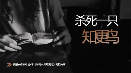 《杀死一只知更鸟》读书笔记PPT课件