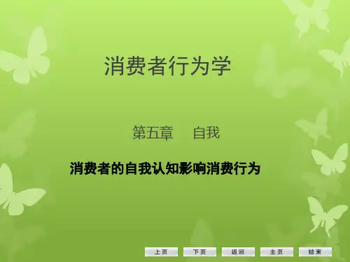 社会心理学(北师大精品课程)08自我