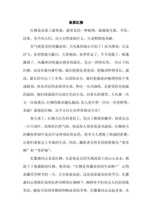 语文人教版六年级下册拓展阅读 高原红柳