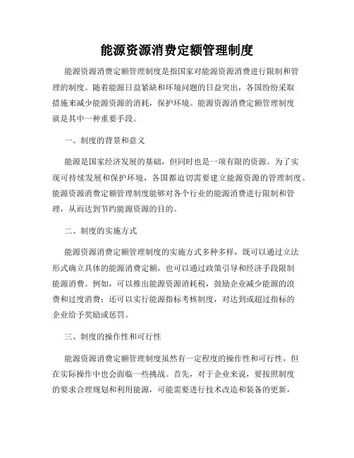 能源资源消费定额管理制度