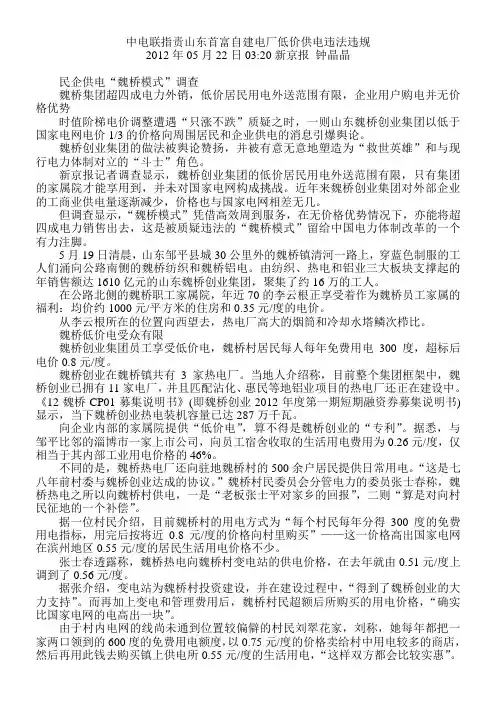 中电联指责山东首富自建电厂低价供电违法违规