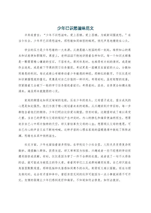 少年已识愁滋味范文