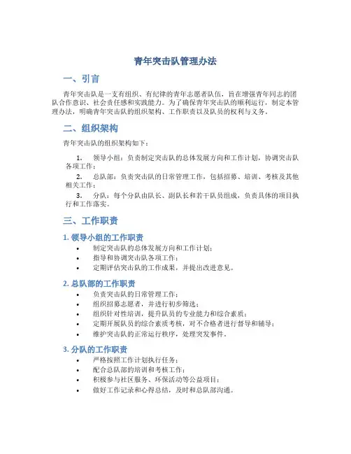 青年突击队管理办法