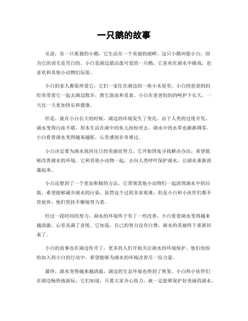 一只鹅的故事