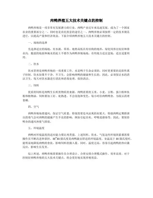 肉鸭养殖五大技术关键点的控制