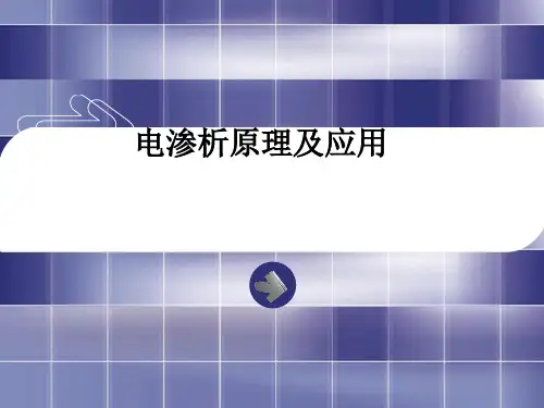 电渗析基本原理 - PowerPoint ______