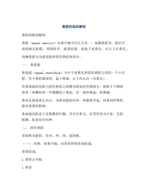 鼻腔的临床解剖