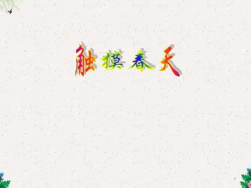 (人教新课标)四年级语文下册第17课《触摸春天》课件(共17张PPT)