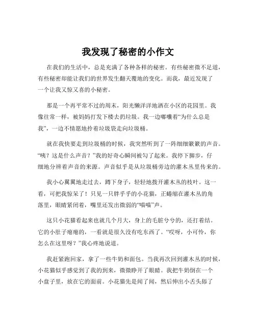 我发现了秘密的小作文