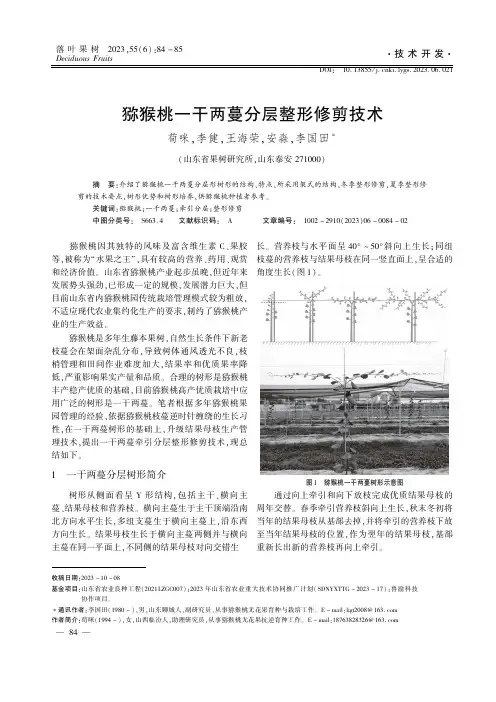 猕猴桃一干两蔓分层整形修剪技术