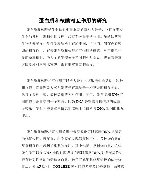 蛋白质和核酸相互作用的研究