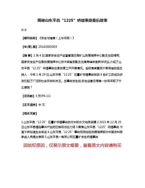 揭秘山东平邑“12·25”坍塌事故幕后故事
