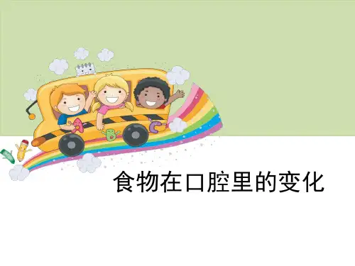 《食物在口腔里的变化》我们的身体-教科版四年级科学上册PPT课件
