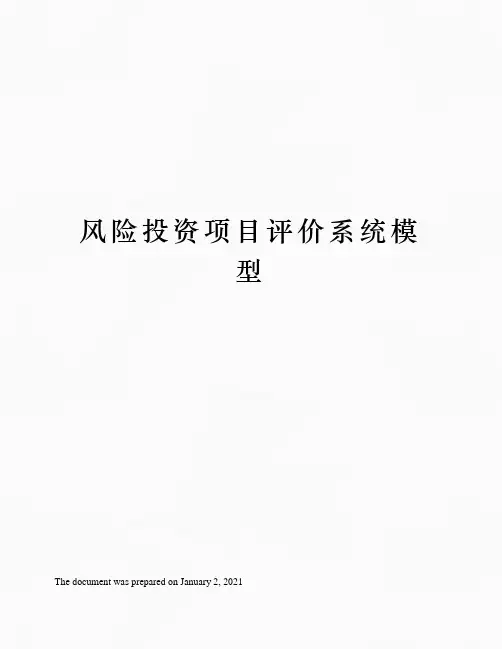 风险投资项目评价系统模型